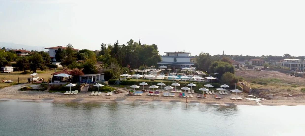 Kassandra Mare Hotel Νέα Ποτίδαια Εξωτερικό φωτογραφία