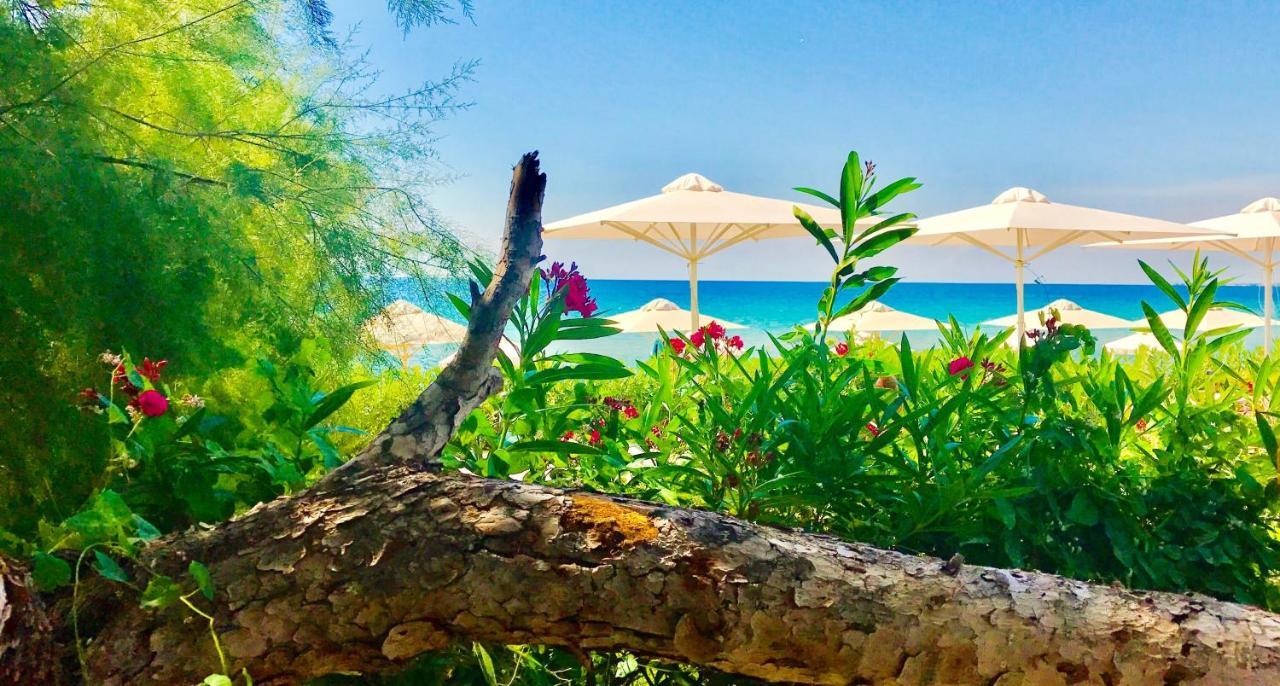 Kassandra Mare Hotel Νέα Ποτίδαια Εξωτερικό φωτογραφία