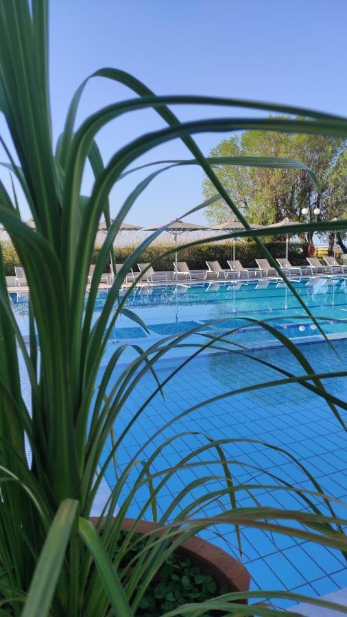 Kassandra Mare Hotel Νέα Ποτίδαια Εξωτερικό φωτογραφία