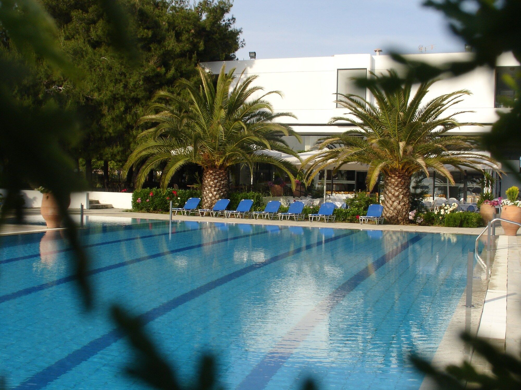 Kassandra Mare Hotel Νέα Ποτίδαια Εξωτερικό φωτογραφία